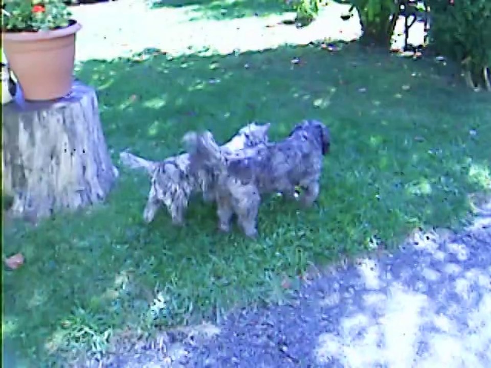 Chanel ne veut pas jouer ce midi