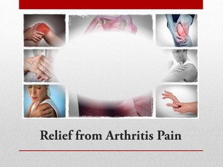 Earn Various Benefits from Organic Ceylon Cinnamon