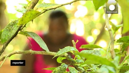 As mulheres que derrubam o silêncio na Colômbia