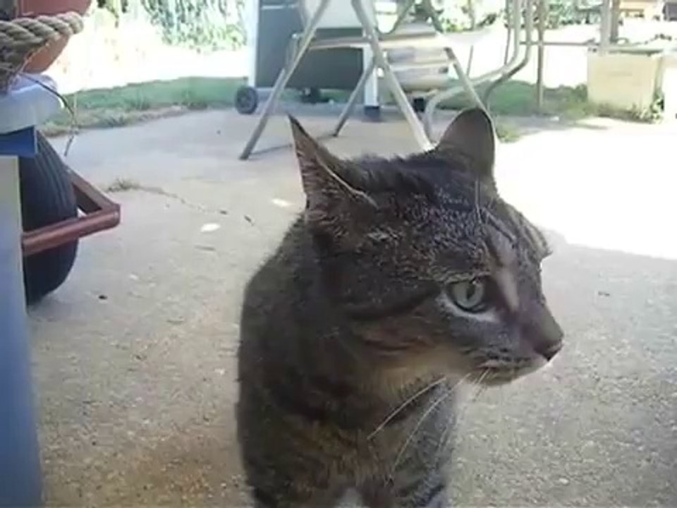 Funny Accident 2013 for FAIL Compilation 2013 [HD+] [18+] ЛУЧШИЕ ПРИКОЛЫ 2013 FUNNY ACCIDENTS VIDEOS_2