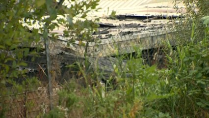 Damage at Manchester and Cheshire Dogs' Home laid bare