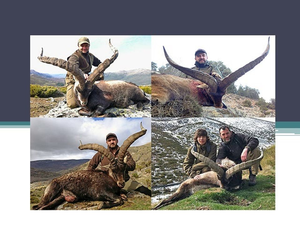 Hunting in Turkey