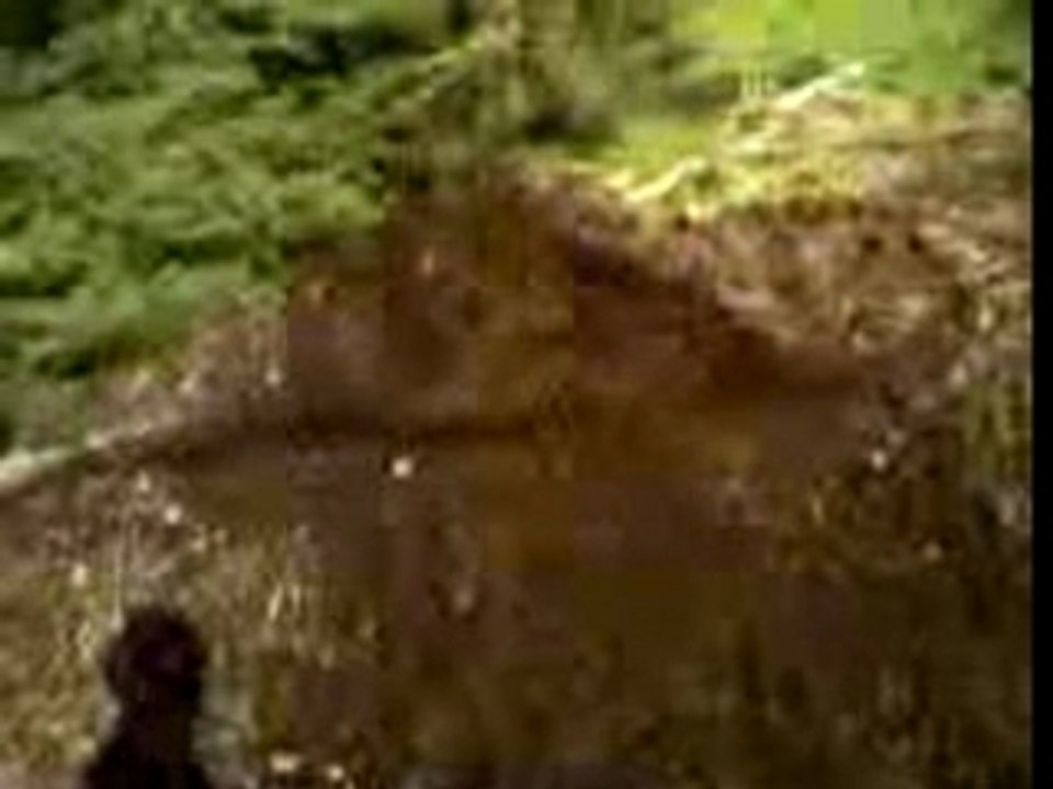 Vidéo 0126