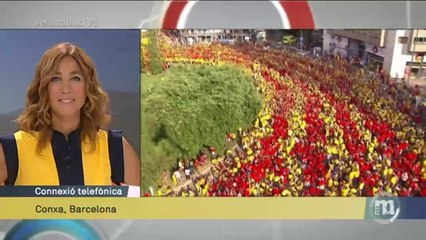 TV3 - Els Matins - Les samarretes més originals de la Diada