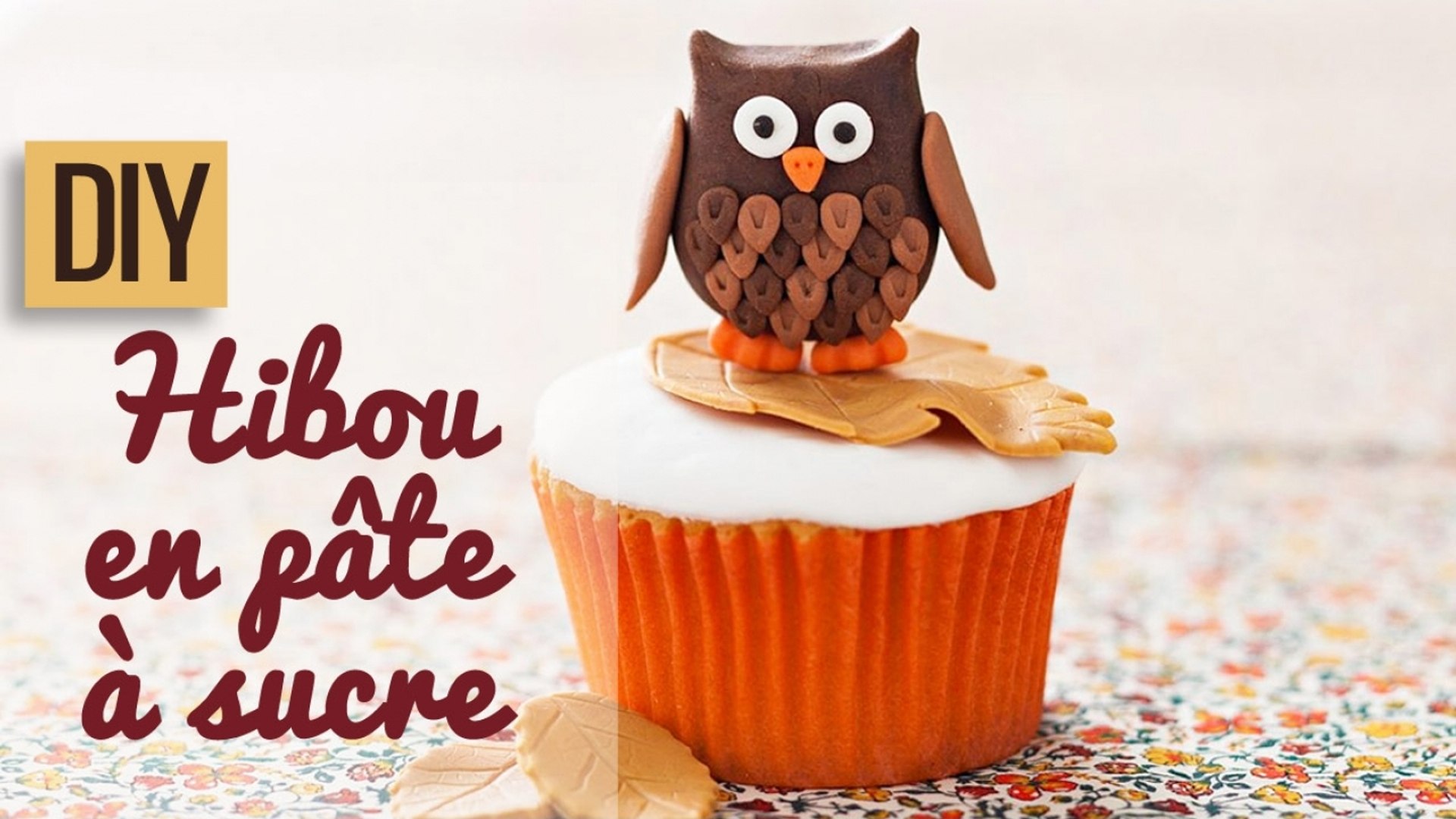 Faire Un Hibou En Pate A Sucre Diy Cake Design Video Dailymotion