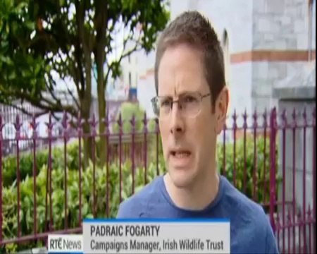 12,000 more badgers to be killed by Dept of Agriculture