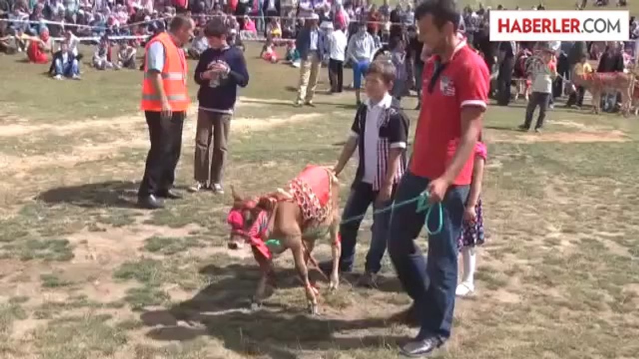 14. Çambaşı Yayla Şenliği -
