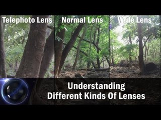 Understanding Different Kinds Of Lenses || Shraddha Kadakia