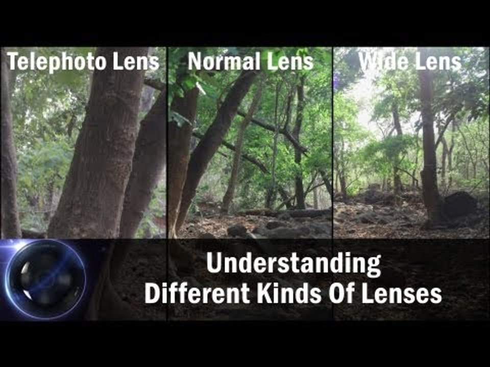 Understanding Different Kinds Of Lenses || Shraddha Kadakia