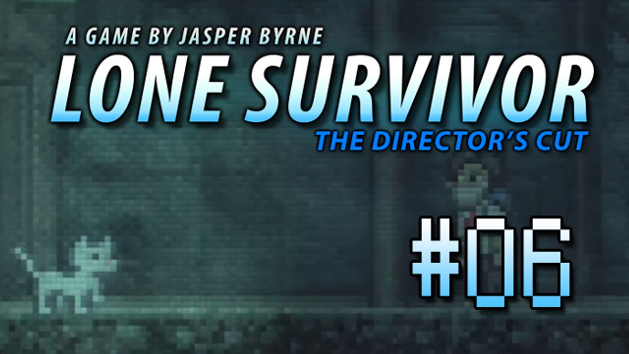 Lone Survivor [PS3] #06 - La ville... enfin ce qu'il en reste
