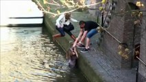 Drunk dutch girls on a boat fall down the canal
