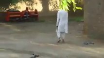 {old is gold}         old men playing cricket very interesting must watch.