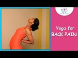Ardha Chakrasana || Half Wheel Pose || Cure Back Pain With Yoga