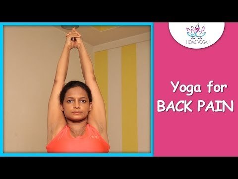 Tadasana || The Mountain Pose || Cure Back Pain With Yoga