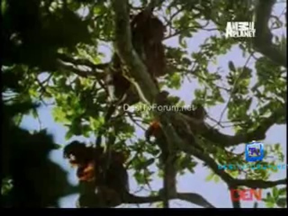 Fooled By Nature 12th September 2014 Video Watch Online Pt2