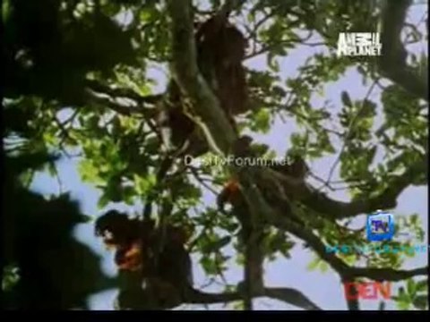 Fooled By Nature 12th September 2014 Video Watch Online Pt2