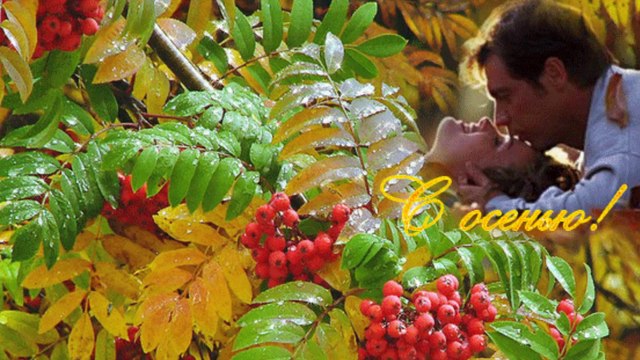 ЗОЛОТАЯ ОСЕНЬ ПОДОЖДИ!