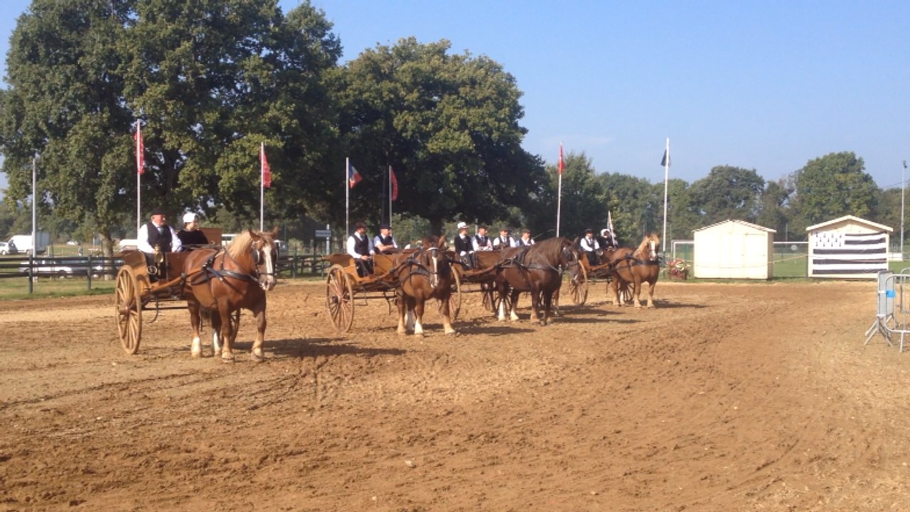 Inauguration de la Foire de Béré