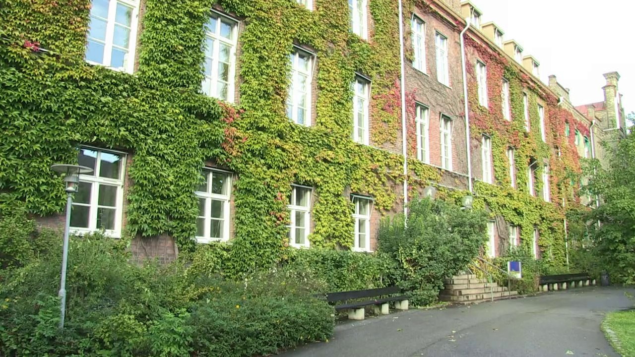 Swedish far-right set for gains in upcoming elections