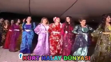 GEWER DÜĞÜNÜ BİR BAŞKA OLUYOR