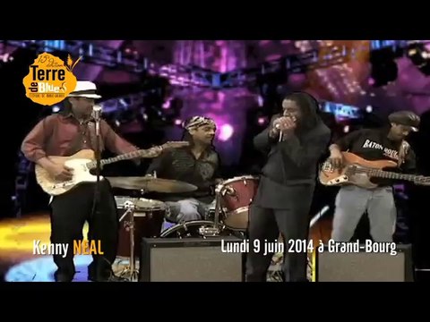 Kenny NEAL Hoochie Coochie Man - CLIP - Terre de Blues 2014