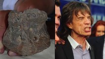 Ancient Pig Fossil Named After Mick Jagger