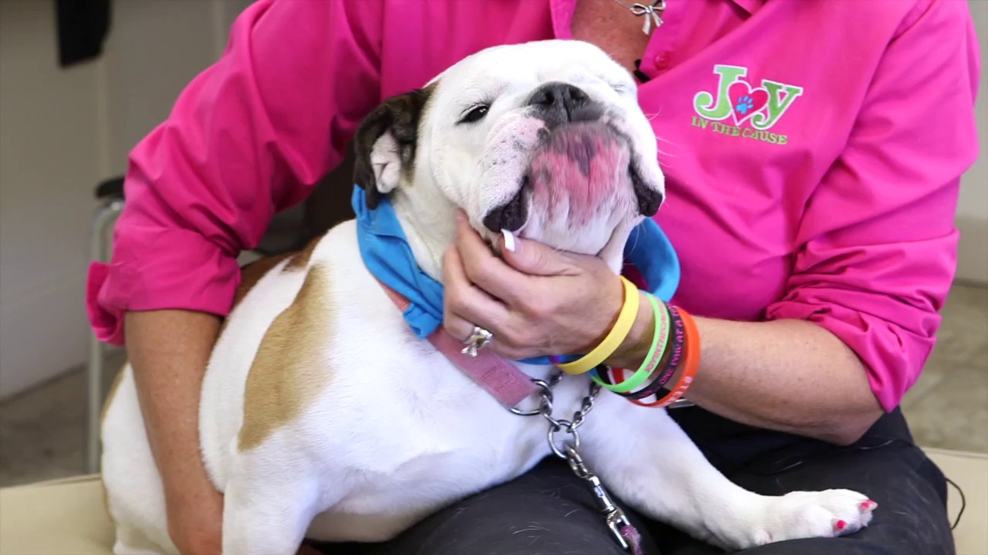 ⁣Welcome to Advanced Care Veterinary Hospital
