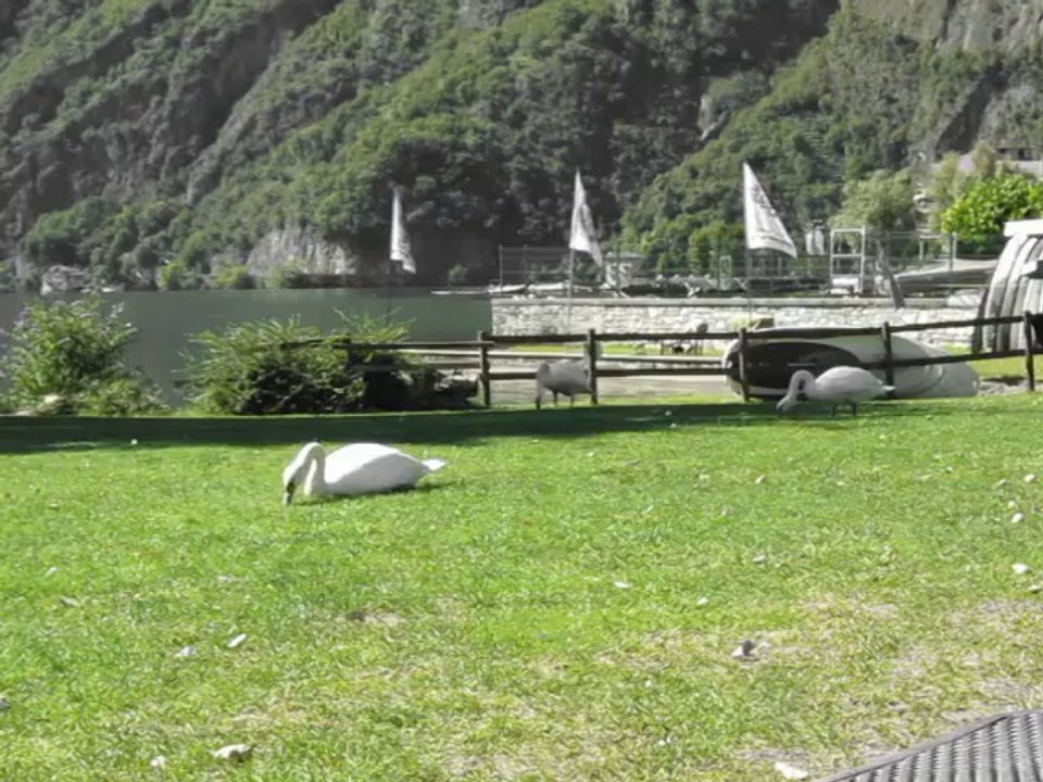 Luganer See: Strandleben Teil 6