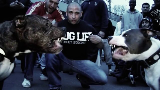 439 - Meine Stadt Frankfurt (Part 21) (-HD-)