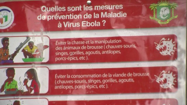 Redes sociais contra o Ebola