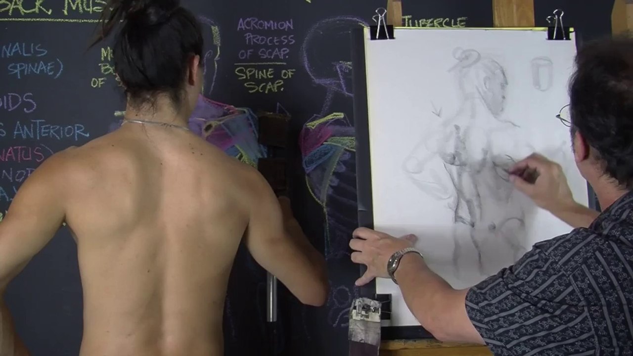 05.Back.muscles-Drawing.from.life.5