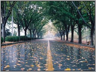 BÂY GIỜ THÁNG MẤY