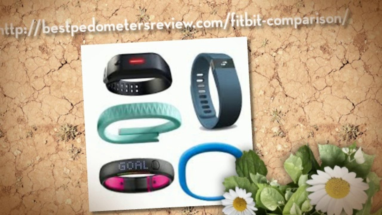 Fitbit comparison