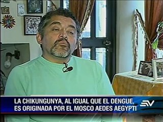 ¿Cómo evitar contagiarse de chikungunya?