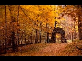 アラビア 【それが愛でないなら】 Por Amor (ロベルト・カルロス & オルネラ・ヴァノーニ) / 訳詞初稿 Sima