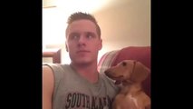 Dog Pretends She Wasn't Staring Vine By Taylor White