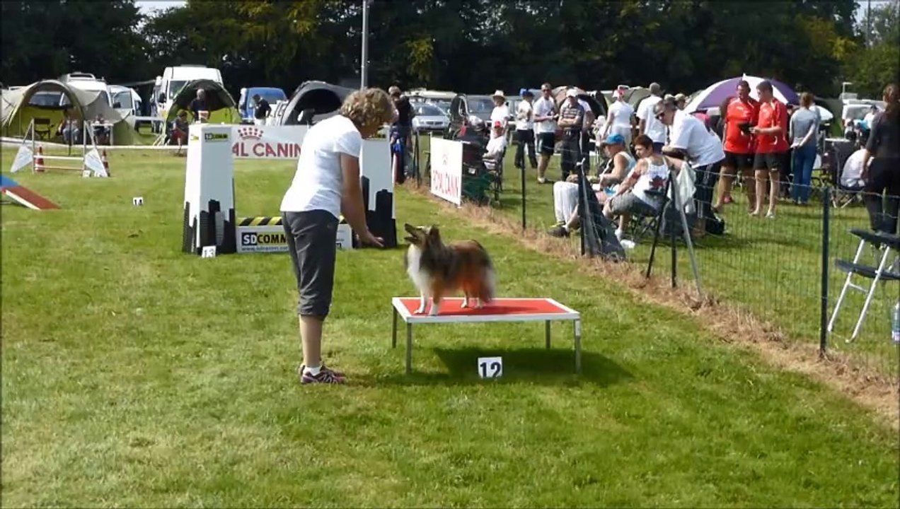 concours Gieville 7092014