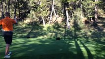 Bear Cub has a blast in golf course
