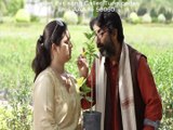 Vriksh Meri Saansein - Video Song - Movie: Anna Ka Aandolan - Singer: Suresh Wadekar