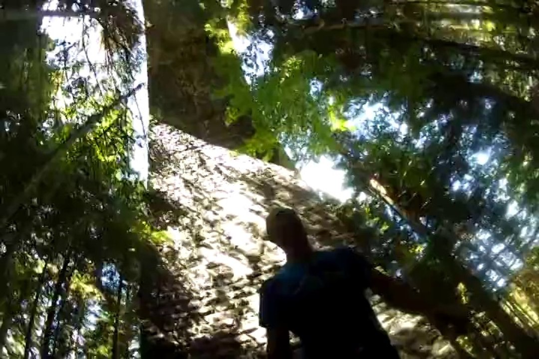 Le Grand Saut avec Cap Liberty