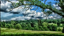 Nature sounds - Summer birdsong in the countryside