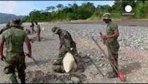 Peru wages war on the cocaine trade destroying the narco runways