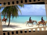 notre Balade équestre vacances 2014 Mexique Yucatan Caraïbes