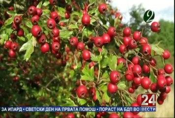 Второ мислење 13-09-2014