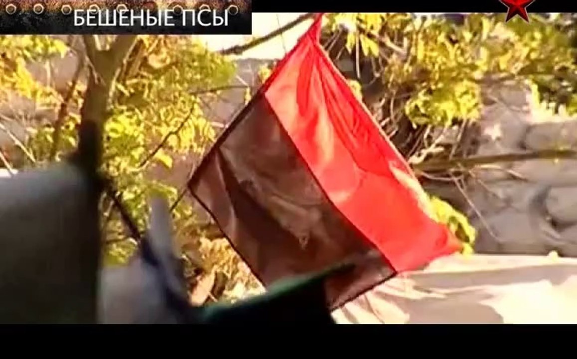 Задело! Бешеные псы OnlyKinox.ru