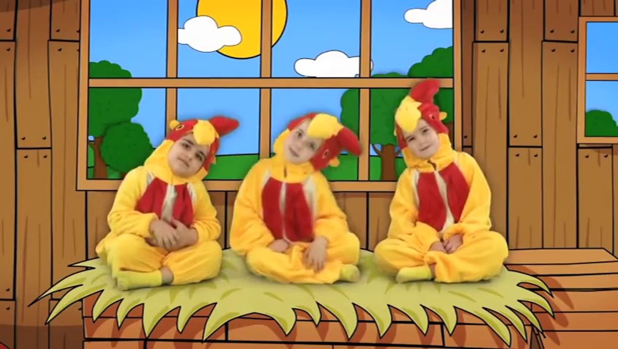 Doidas Andam as Galinhas - Avô Cantigas