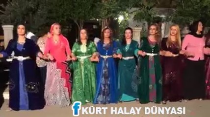 HAKKARİLİLERİN DÜĞÜNÜ ANTALYADA