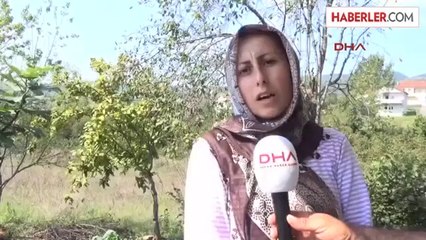 Tek Koluyla Çalışmak İstiyor