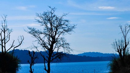 Nature sounds - Dawn chorus birdsong at the watering hole