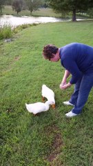 Deb feeding the ducks 9-15-14